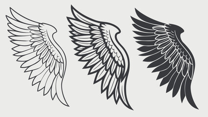 Obraz premium Collection of stylized avian wing designs in black and white wings feathers