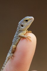 Obraz premium Tiny lizard perched on fingertip, showcasing delicate scales and curious eyes against a soft brown background.