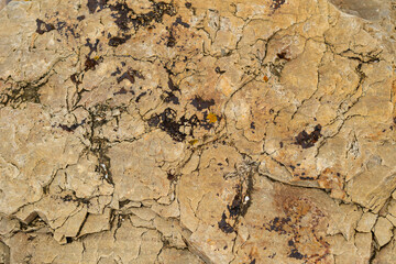 Textured coastal rock with dark moss growth