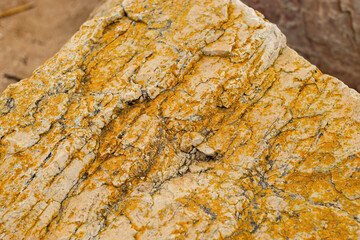 Coastal rock with vibrant yellow moss texture