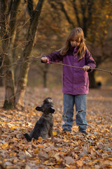 Young girl plays with her dog in autumn park showcasing vibrant leaves and warm light during a late afternoon stroll