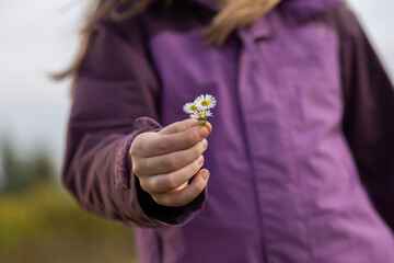 Child holds a small bouquet of daisies while standing outdoors in a natural setting during a clear...