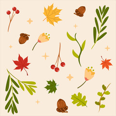 Autumn set. Acorns, maple and oak leaves, red berries, fall herbs. For autumn crafts, seasonal cards, kids projects, wrapping paper.