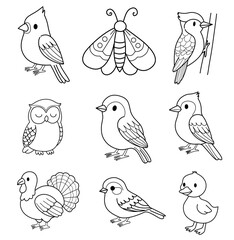 set of birds