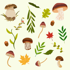 Autumn set with mushrooms, foliage and acorns. Cozy fall atmosphere, forest mood. For print, seasonal crafts, classroom materials and decor