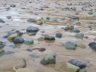 stones on the beach