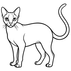 Obraz premium Abyssinian Cat Silhouette SVG – Isolated Feline Figure for Pet & Animal Designs