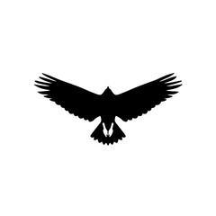 Obraz premium A majestic bird soaring freely against a clear sky.