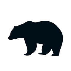 Fototapeta premium Silhouette of a powerful bear against a clean background.