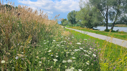 spazieren in der Natur 