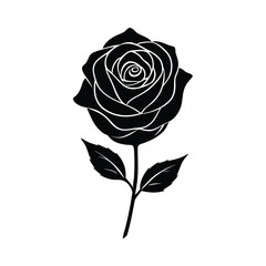 hand-drawn-top-silhouette-of-rose-with-natural-asy.eps