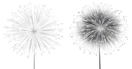  2 white firework clip art images, with transparent background
