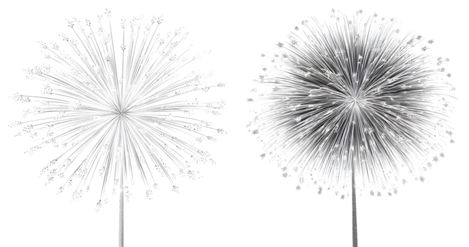  2 white firework clip art images, with transparent background