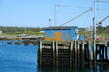 Colorful blue and moss covered fishing shack sits atop a wood dock covered in seaweed on the Nova Scotia coast