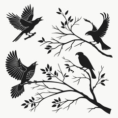 Bird Silhouettes In Dynamic Poses Wings Spread