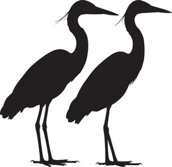 Obraz premium Two elegant herons standing together silhouette