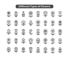 Minimalist Seasonal Flower Icons: Black & Line Art Summer, Spring & Winter