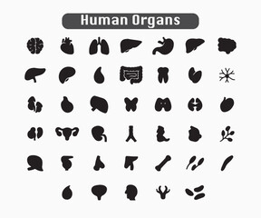 Black Human Anatomy Icons – Vector Organ and Body System Illustrations