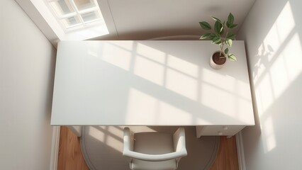 Minimalist white desk with sunlight and plant
