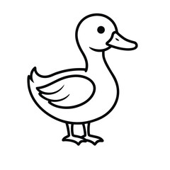 duck on white background