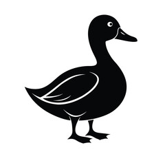 duck vector on white background