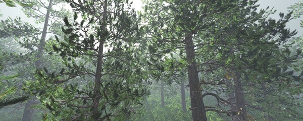 Fototapeta premium Forest in the morning in a fog in the sun, trees in a haze of light, glowing fog among the trees, 3D rendering