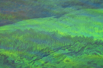 Environmental impact of water pollution caused by cyanobacteria in lakes and rivers.