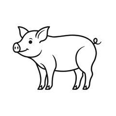 vector illustration of a pig