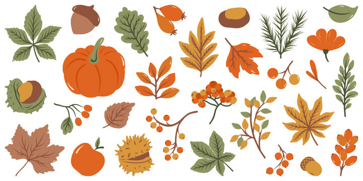 Set of autumn leaves and branches from different trees: maple, oak, aspen, chestnut. Simple flat falling yellow, green, brown, orange autumn leaves. Vector illustration on white background.