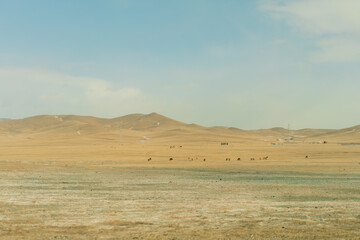 steppe and mountains landscape in Orkhon valley, Mongolia