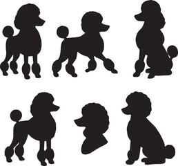 Set of Poodle Dog Silhouette Vector Illustration