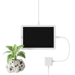 Tablet with charger and plant isolated on transparent background