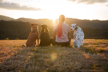 Woman with her dogs enjoying the sunset