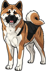 American Akita Dog Front View Illustration - Happy Purebred Vector 

