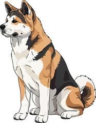 Sitting American Akita Dog Illustration - Side Profile View Vector