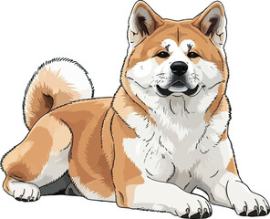 Relaxed Akita Inu Dog Lying Down - Calm Japanese Breed vector