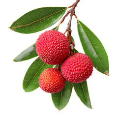 Ripe red litchi isolated on transparent background