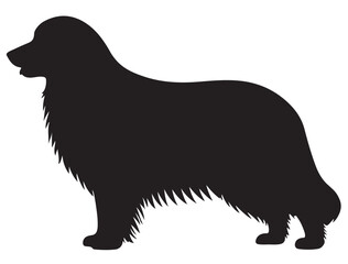 BEARDED COLLIE DOG SILHOUETTE