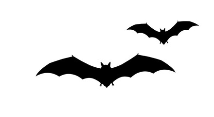 Flying animal silhouette vector for halloween party decoration and spooky night design element on transparent background