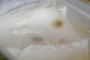 Circular mold resembling cotton candy on processed cheese. 
