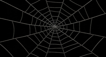 Spiderweb background texture halloween spooky arachnid web design detailed illustration graphic resource on dark background