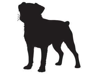 BRUSSELS GRIFFON DOG SILHOUETTE
