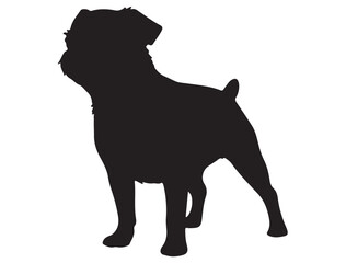 BRUSSELS GRIFFON DOG SILHOUETTE