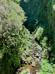 eine Wanderung vom Wanderparkplatz Rabaçal zum Forsthaus Rabaçal vorbei am Risco-Wasserfall und...