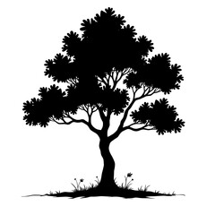 Handdrawn realistic tree with thick foliage and roots. Concept of nature conservation and forest life - environment - ecological balance