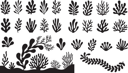 Coral reef or seaweeds vector underwater plant icons. Naive style leaves, algae or fronds. Hand drawn vector ink illustration. Modern style organic corals, aesthetic underwater plants and branches, v2