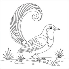 Beautiful bird coloring page featuring a bird with an elegant spiral tail standing on the ground with grass and leaves, illustrated in a detailed black-and-white line art style for creative coloring.
