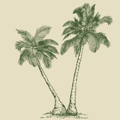 Elegant Palm Trees in Line Art Style. Minimalist botanical vector perfect for prints, branding, packaging, and modern design projects.