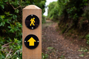 Marking the pathway for hikers through lush greenery on a serene trail under a bright sky