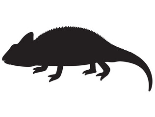  CHAMELEON SILHOUETTE
